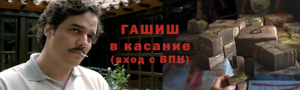 крисы Надым